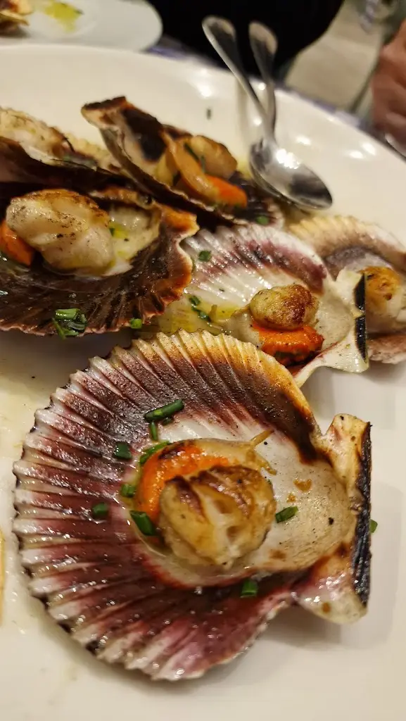 Menu_Tudo aos Molhos_São João da Madeira_immagine_7