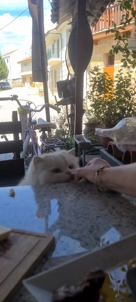 Taska Quim Barbeiro_Boticas_slider_image_2