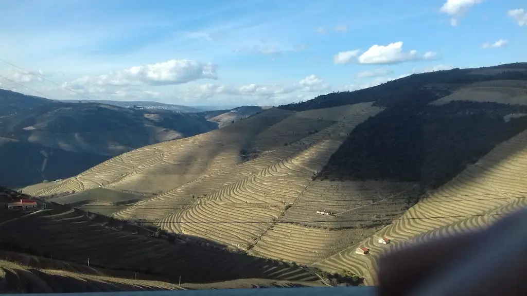 monica ferreira_Ervedosa Do Douro_Ervedosa do Douro_recensione