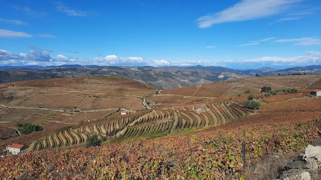 Ervedosa Do Douro_Ervedosa do Douro_slider_image_3