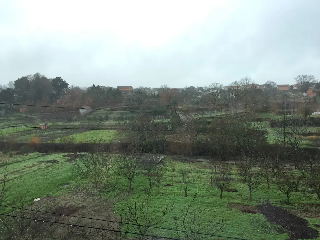 Luis Leonardo_Restaurante Varanda Do Criz_Campo de Besteiros_recensione