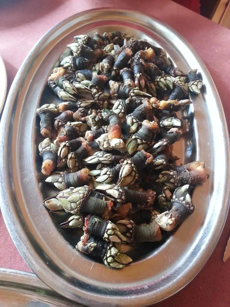 Menu_BAR DO JARDIM_Campo de Besteiros_image_9