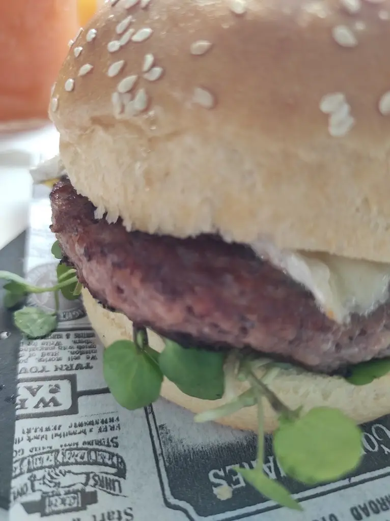 Menu_Kbs._Castro Daire_image_7