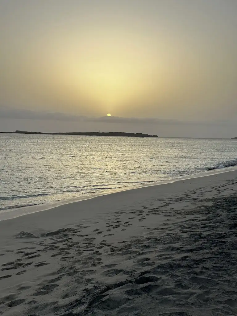 Andreia Soares_Adega dos Sabores_Mortágua_review