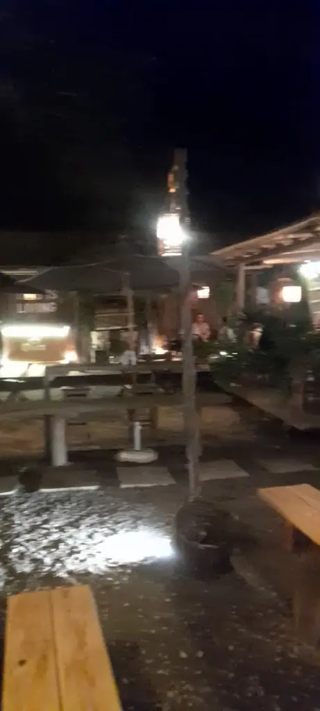 Gomes Pedro_Churrasqueira Sogrelhados (Take Away)_Mortágua_review