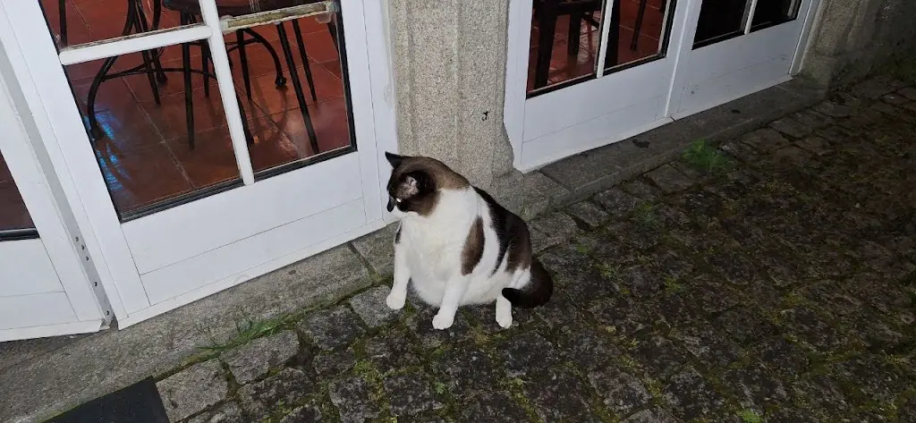 Diego Pérez_Casa da Quinta Restaurante Bistrô & Cocktail Bar_São Pedro do Sul_review