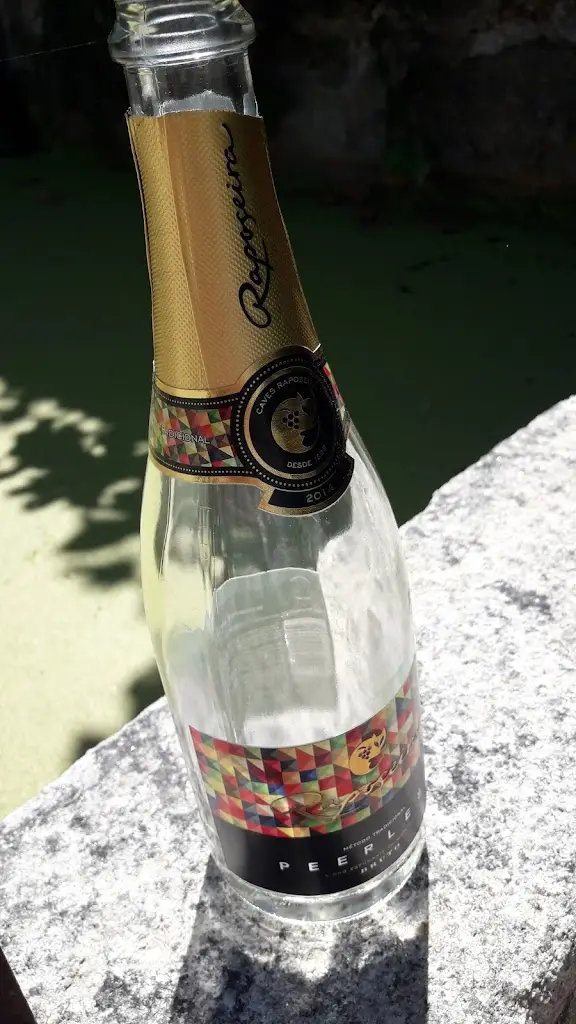 Menu_A Presunteca de Lamego_Lamego_immagine_9