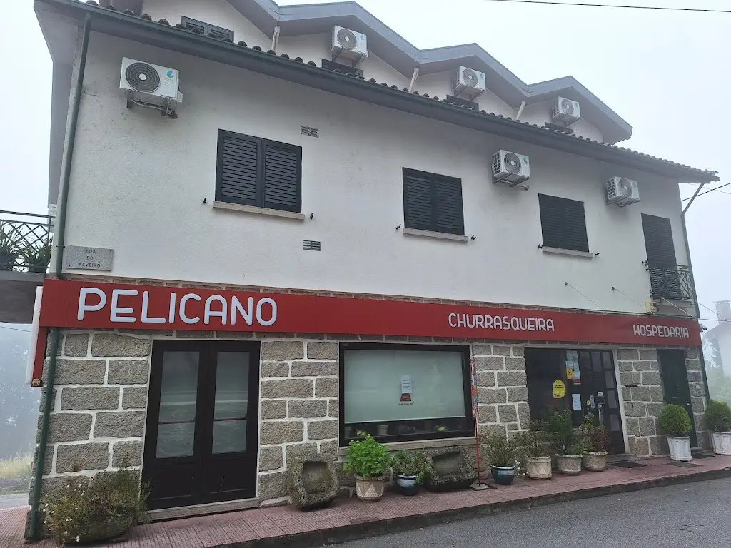 Md Abdul Kader_Pelicano_Oliveira de Frades_recensione