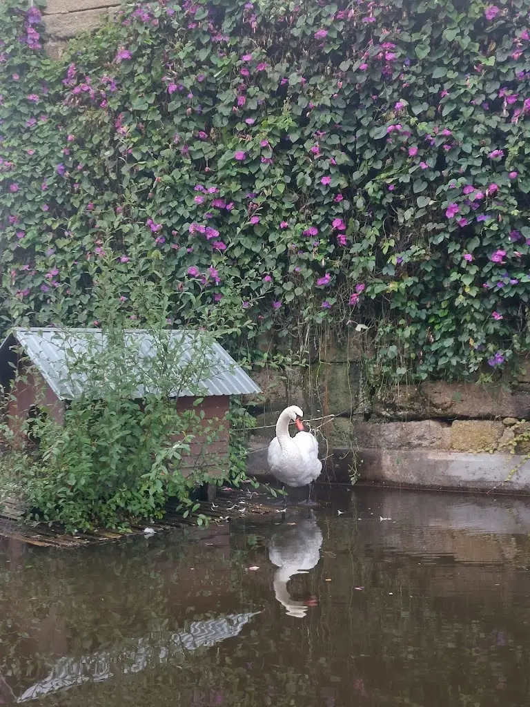 L dls_Parador Casa da Ínsua_Penalva do Castelo_recensione