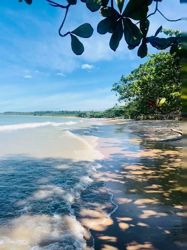 Jilian Schoonhoven_Douro à Vista_Resende_recensione