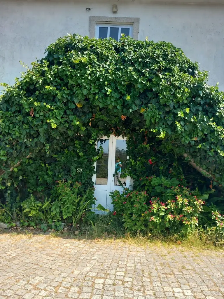 Maria Torres_Restaurante O Couceira_Sever do Vouga_review