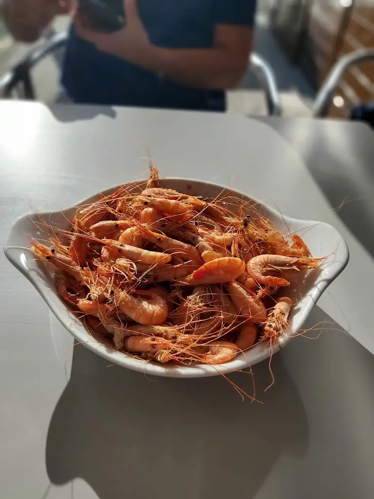 Menu_Bar Terra Nova_Vila Chã_image_8