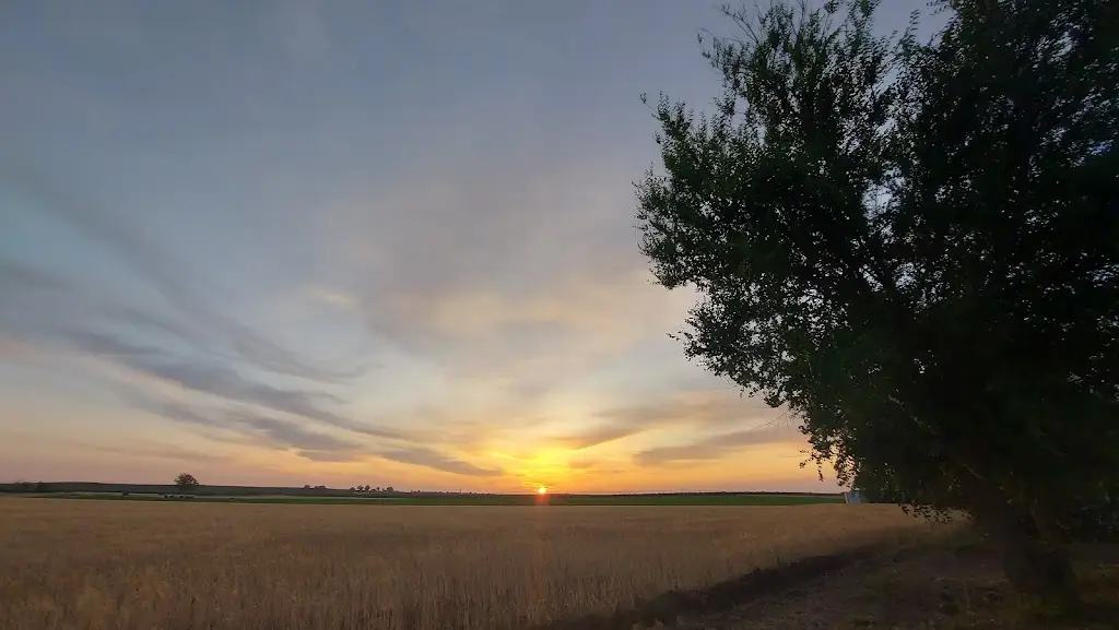 Wolbert Erich_Parque da Vila - Beringel_Beringel_recensione