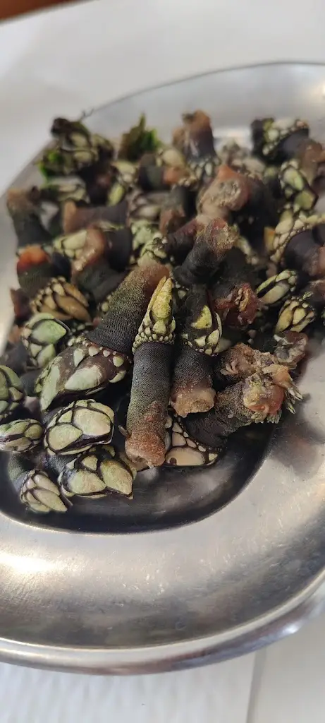 Menu_O Josué_Almograve_immagine_5