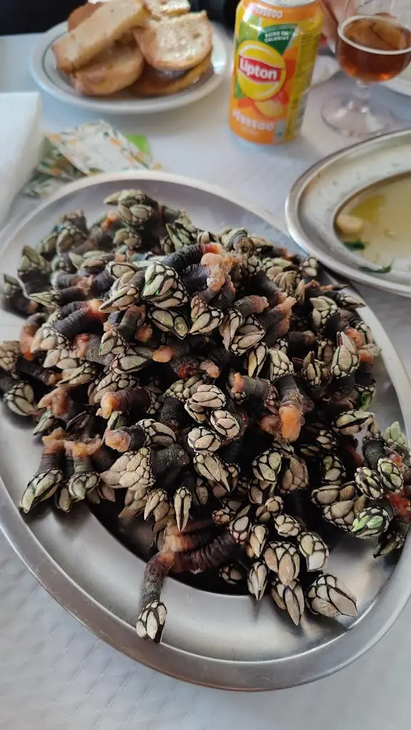 Menu_O Lavrador_Almograve_image_8