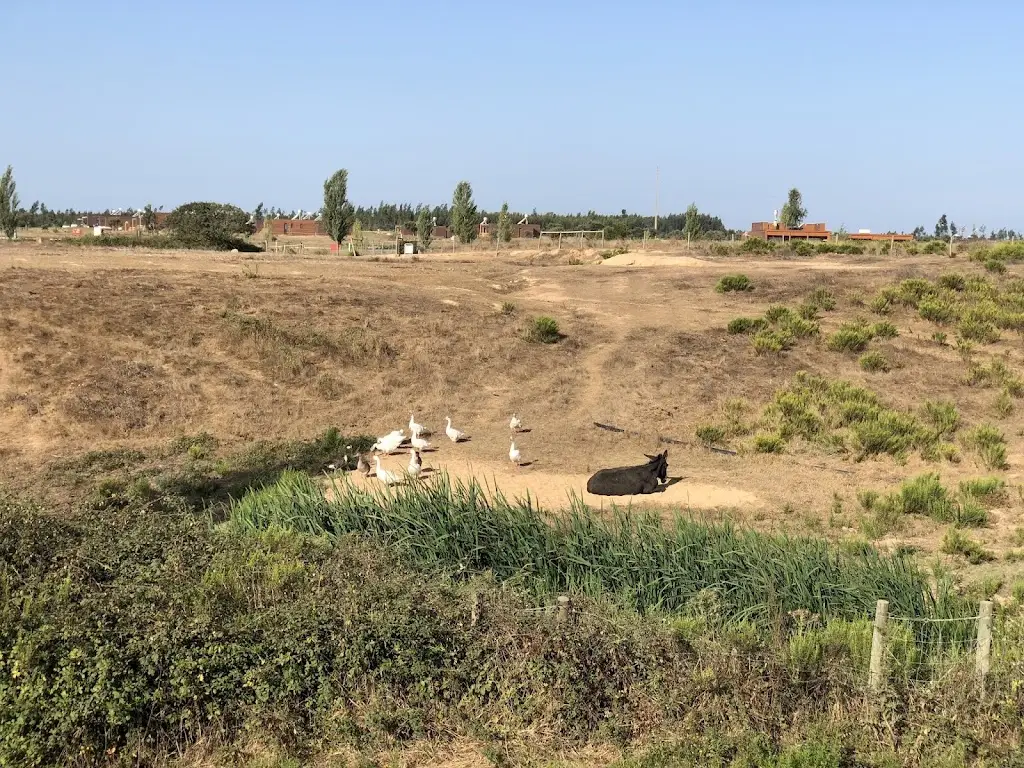 Luis Afonso_Frezco Zmar_Almograve_review