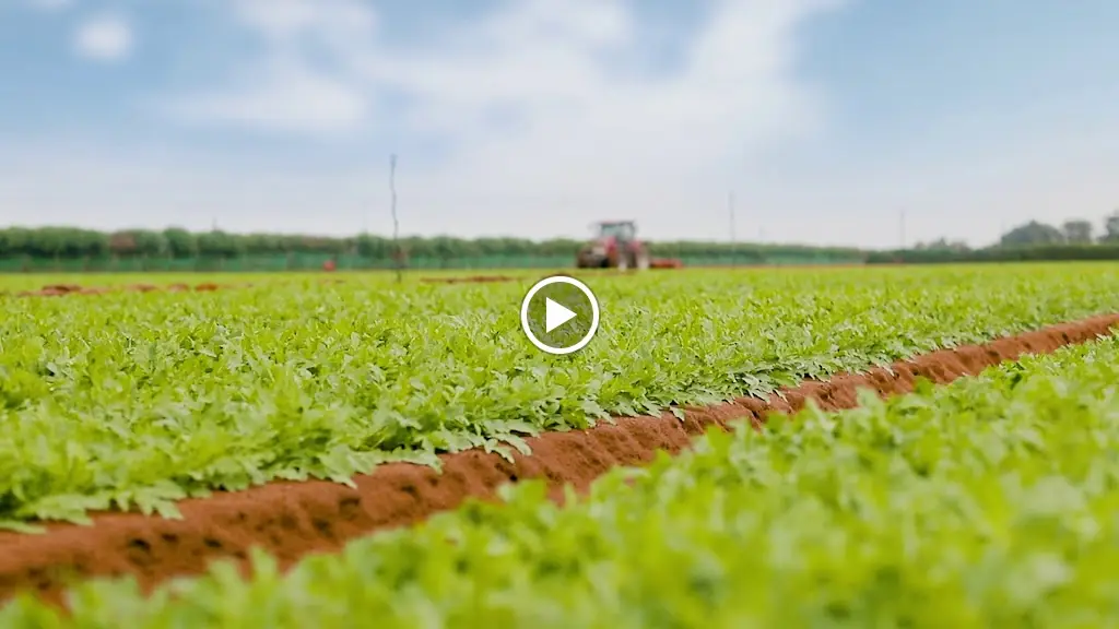 Frezco Zmar_Almograve_slider_image_2