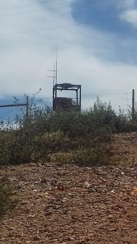 Adega do Pescador_Aljustrel_slider_image_3