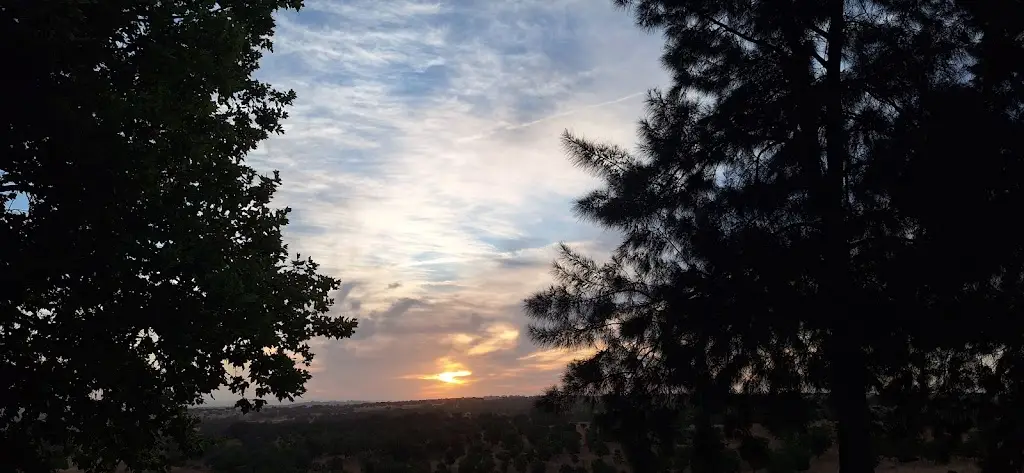 Bitik Sally_Colibri Aljustrel N/S_Aljustrel_recensione