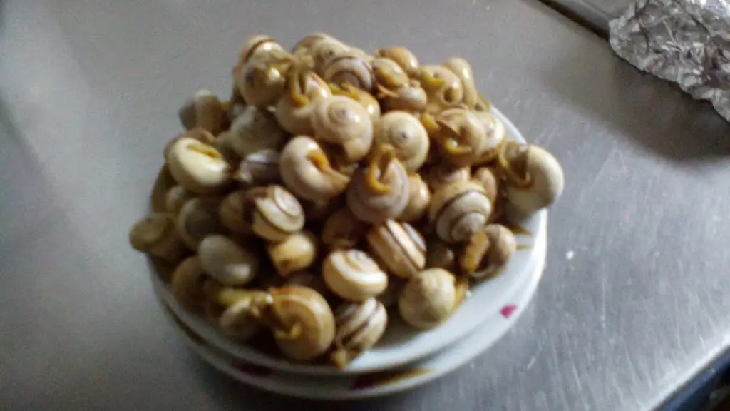 Menu_O Chafariz_Aljustrel_immagine_2