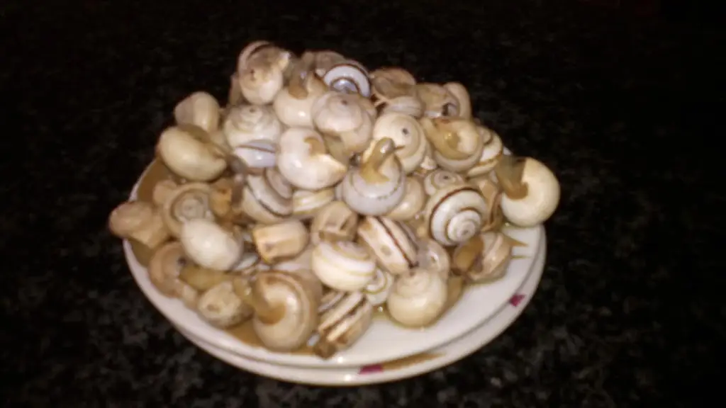 Menu_O Chafariz_Aljustrel_immagine_3