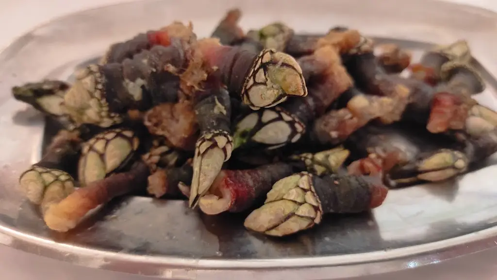 Menu_Rocamar_Odemira_image_6