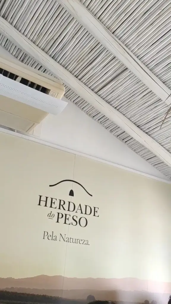 André's_Moura_slider_image_2