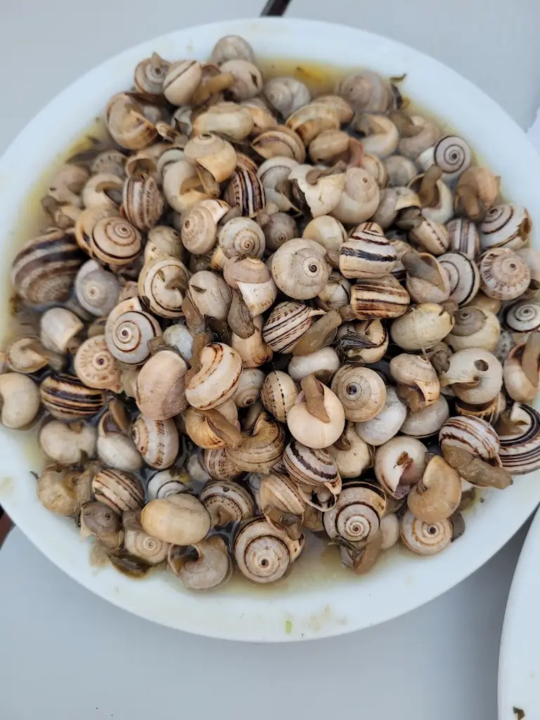 Menu_Ateneu Mourense_Moura_immagine_4