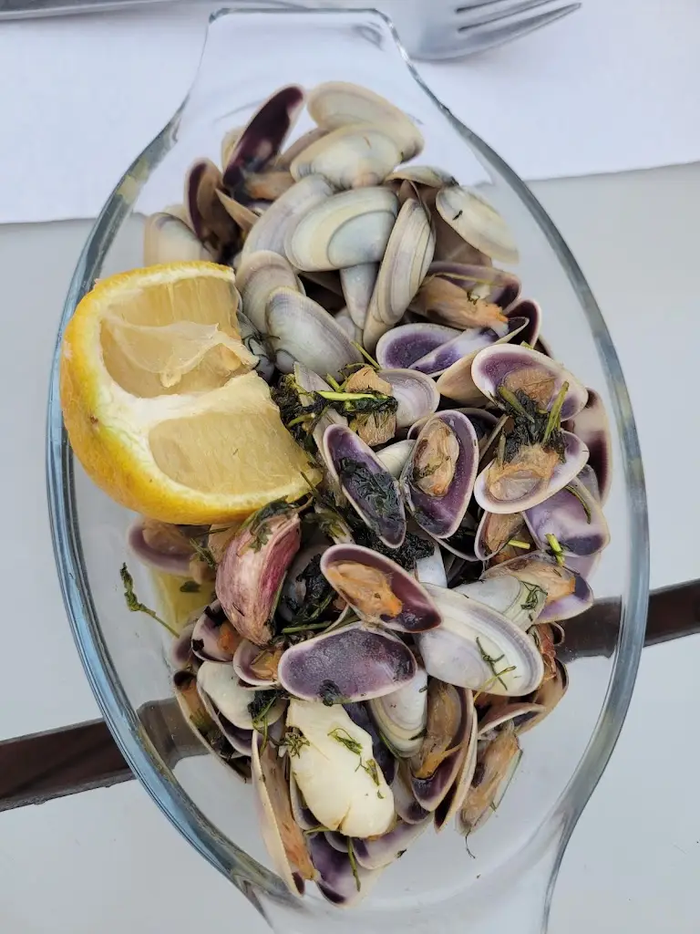 Cristina Valente_Ateneu Mourense_Moura_recensione