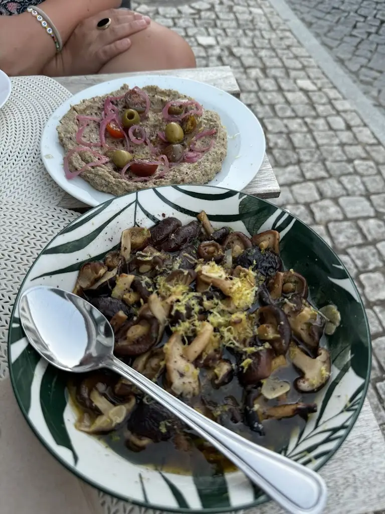 Ruben G_Processo Regenerativo em Curso_Mértola_recensione