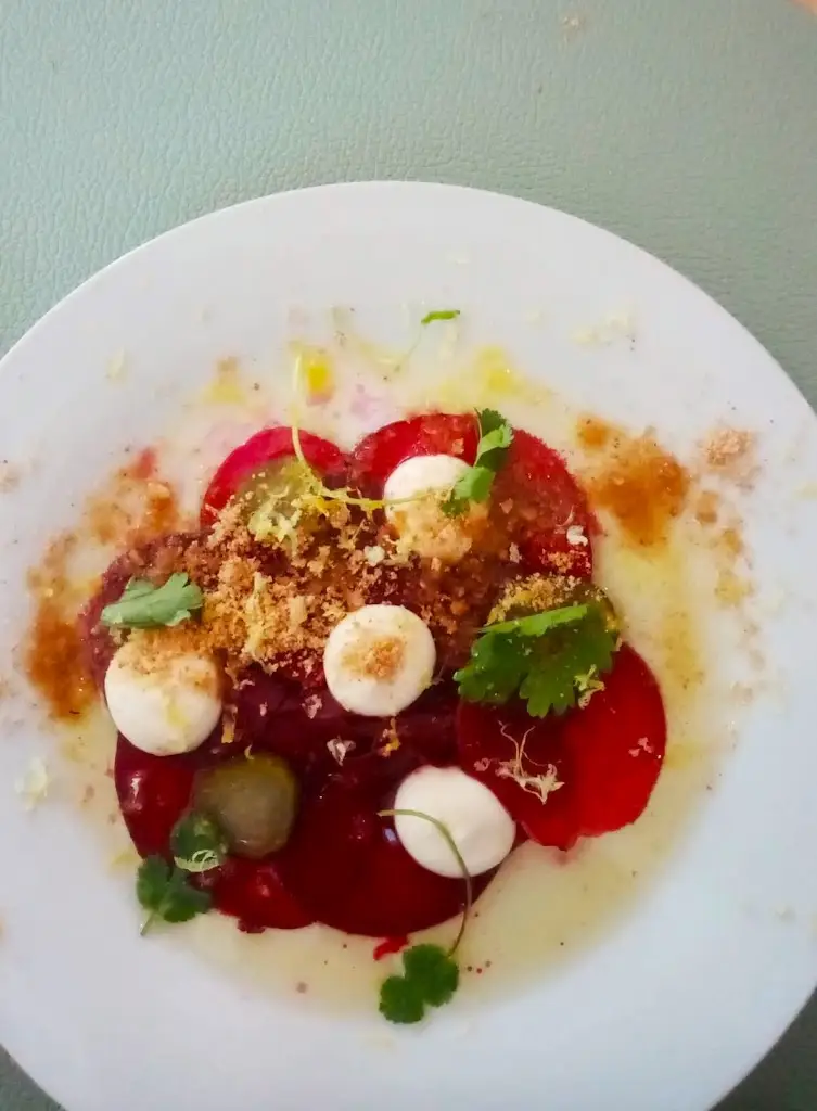 Luigi Tramaloni_Processo Regenerativo em Curso_Mértola_recensione