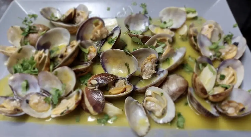 Menu_Terra Forte_Serpa_image_5