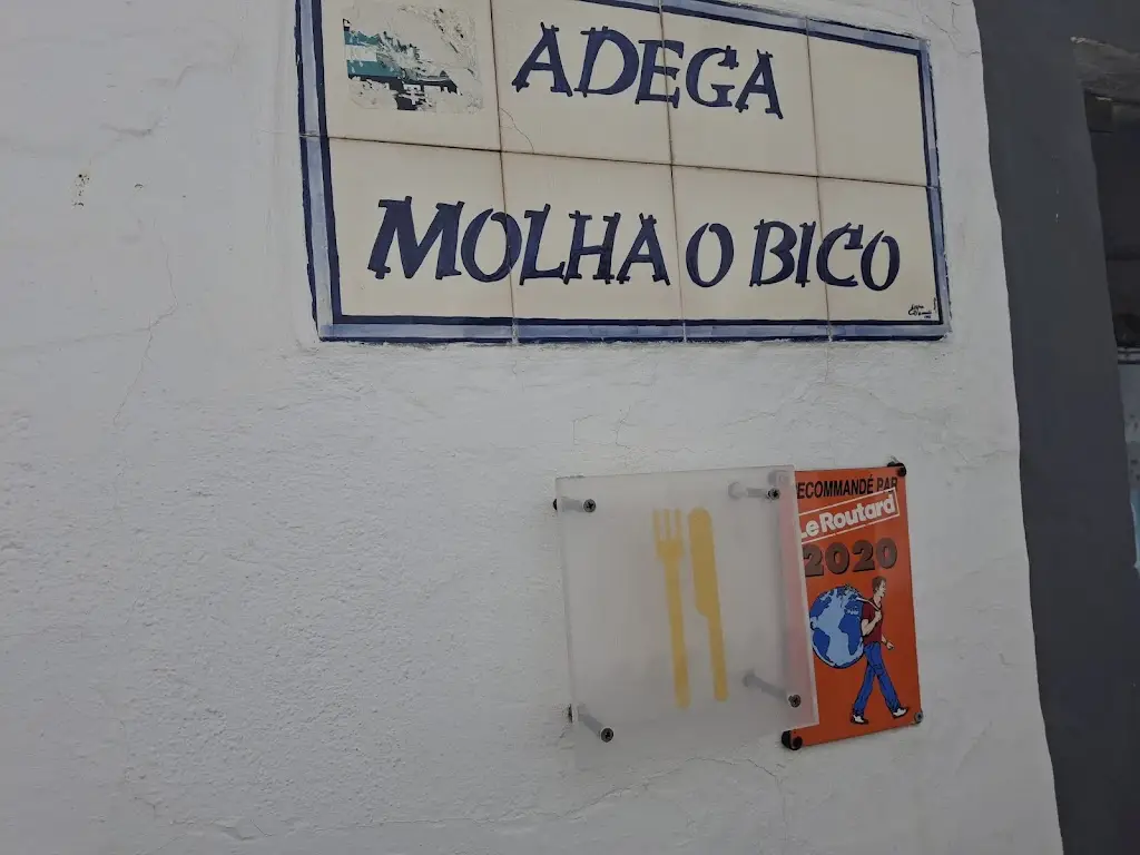 Paulo Casaca_Molhó Bico_Serpa_reseña