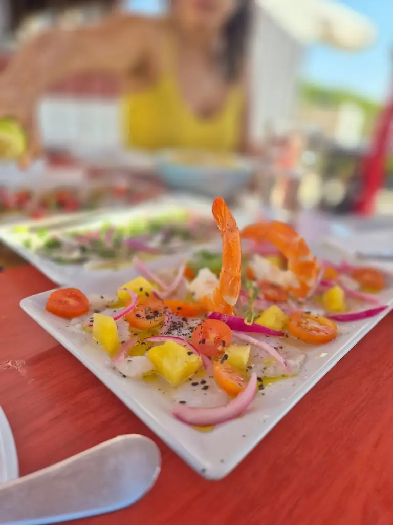 Pedja Stajevski_A Barca Tranquitanas_Zambujeira do Mar_review