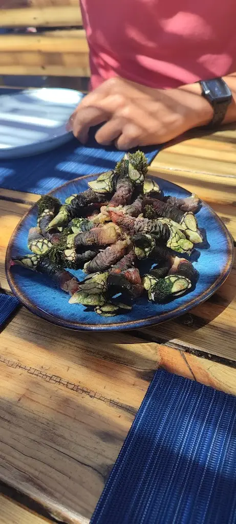 Menu_O Sacas_Zambujeira do Mar_imagen_5