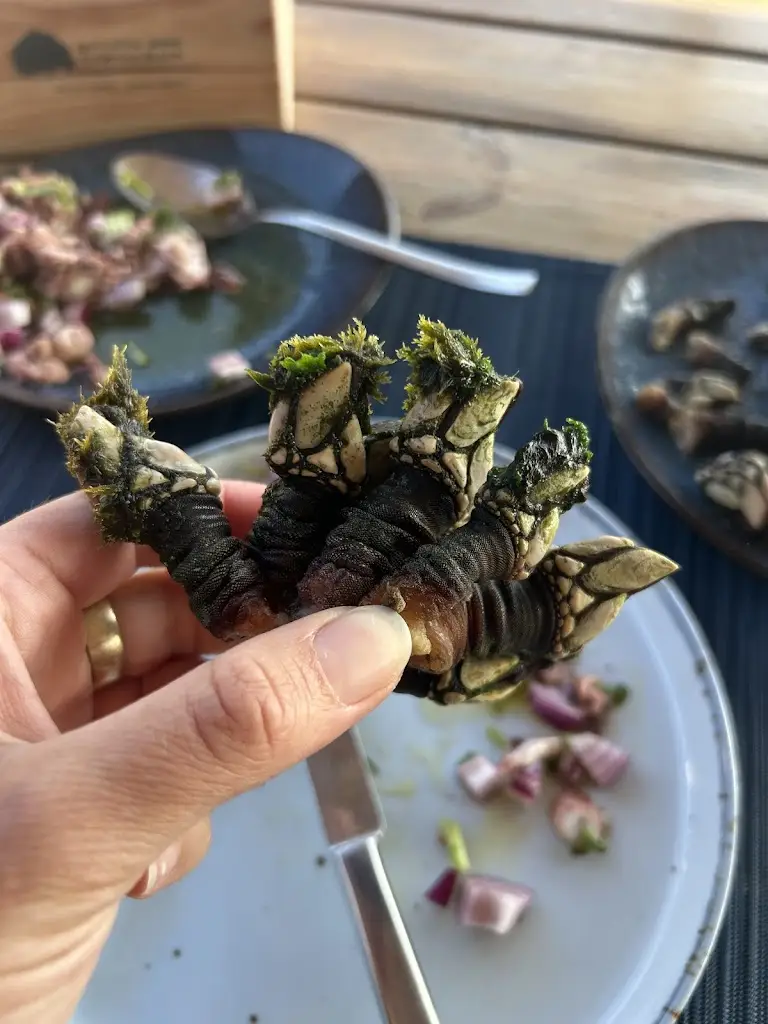 Dom S_O Sacas_Zambujeira do Mar_reseña