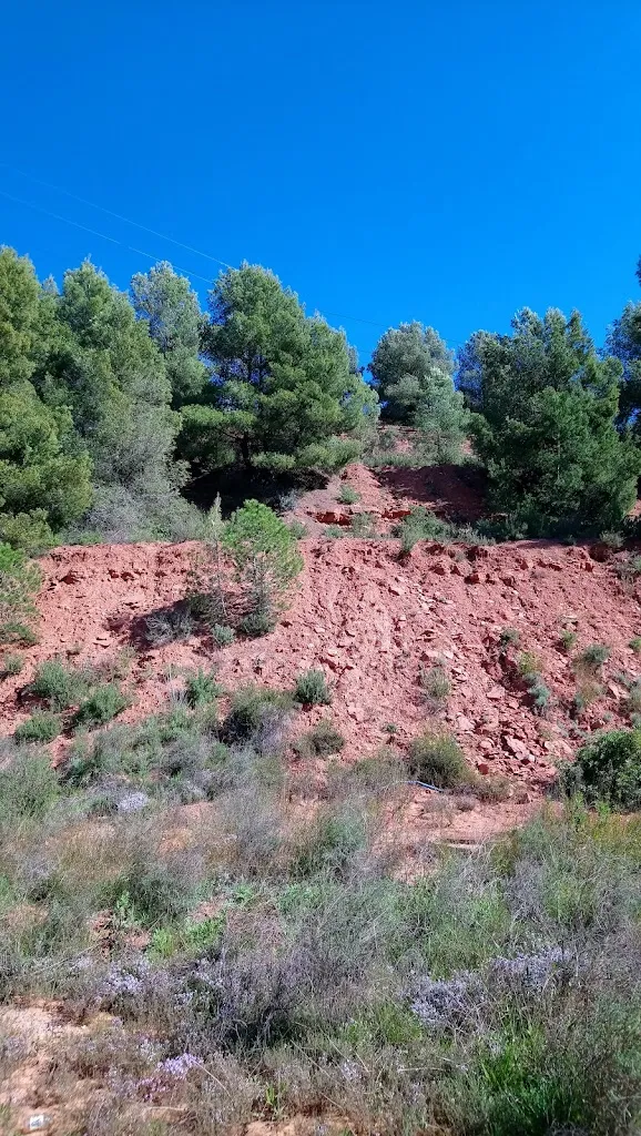 Юрий Лянцевич_Àrea de Servei Porta de Barcelona - Dir. Barcelona_Castellbisbal_Bewertung