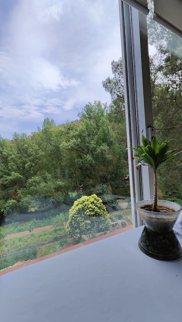 C}{ARLY KSaS_Restaurant Mas Pinetó_Castellar del Vallès_review