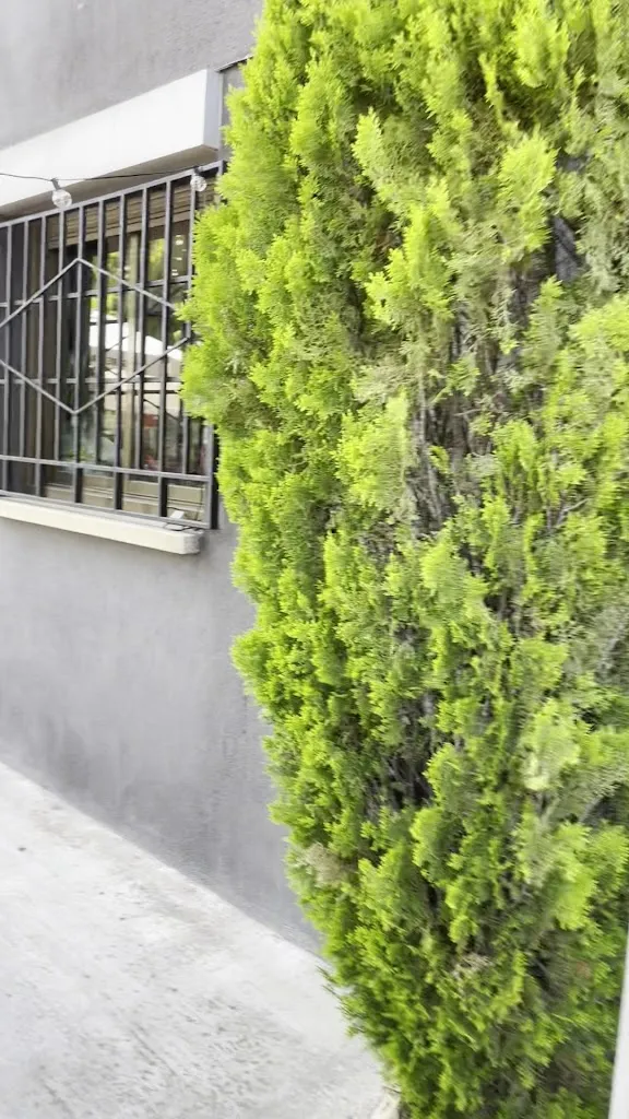 Restaurante Los Jardines 22_Castellar del Vallès_slider_image_2