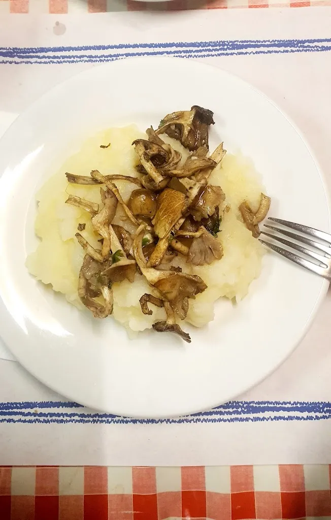 Magdalena teneva krumovska_Ca la Bòrnia_Cercs_review