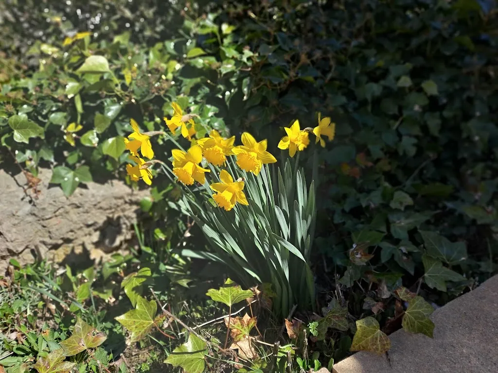 Lynn's Brennan_Santa Bàrbara Restaurant_Cercs_review