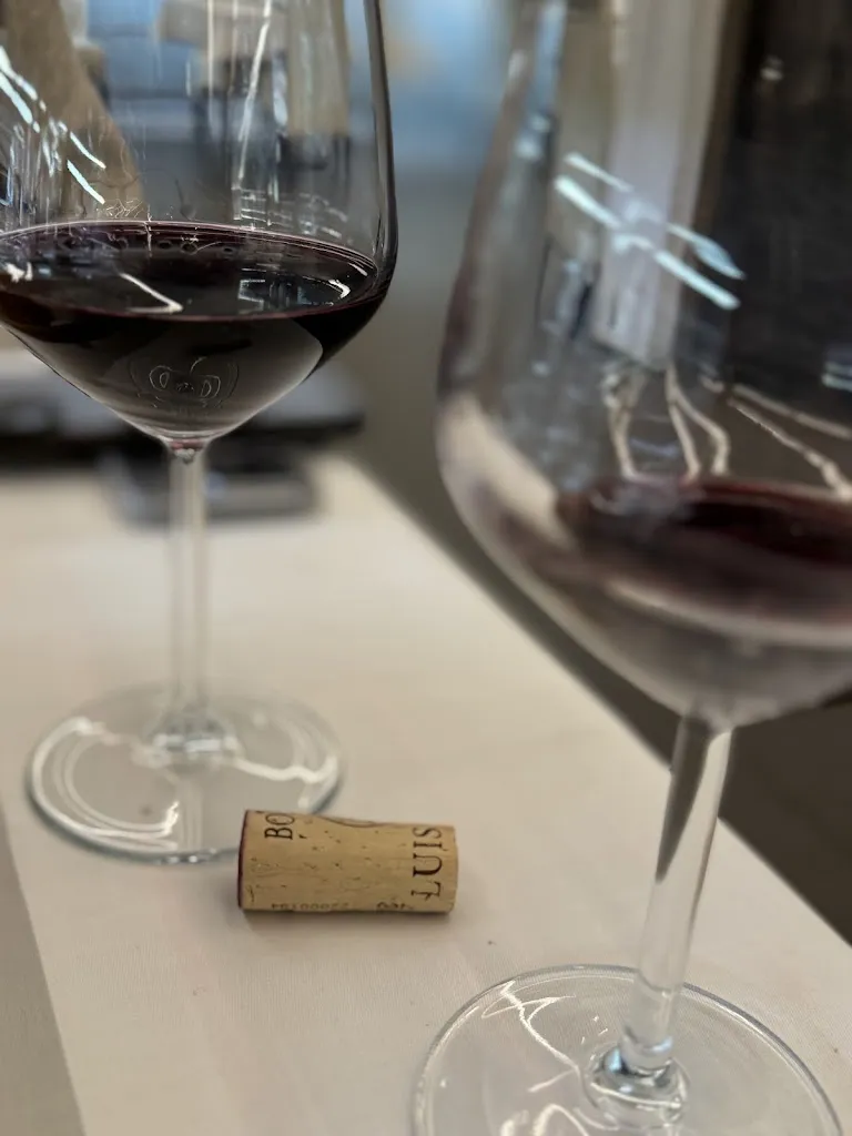 Luis Figallo_Can Moyas_Castelldefels_review