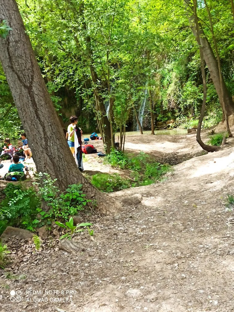 Adriana Naghi_La Cullereta de Copons_Copons_review