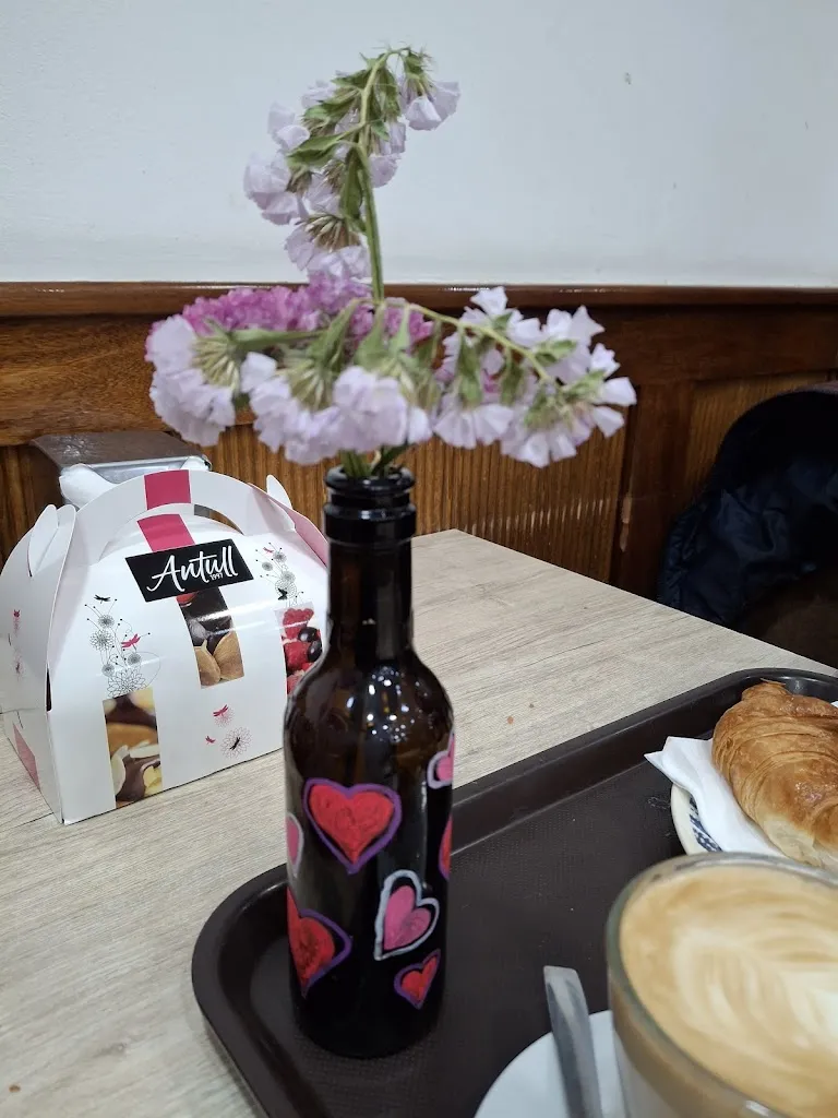 Rosa Ribas Bottaro_Antull_Cerdanyola del Vallès_review