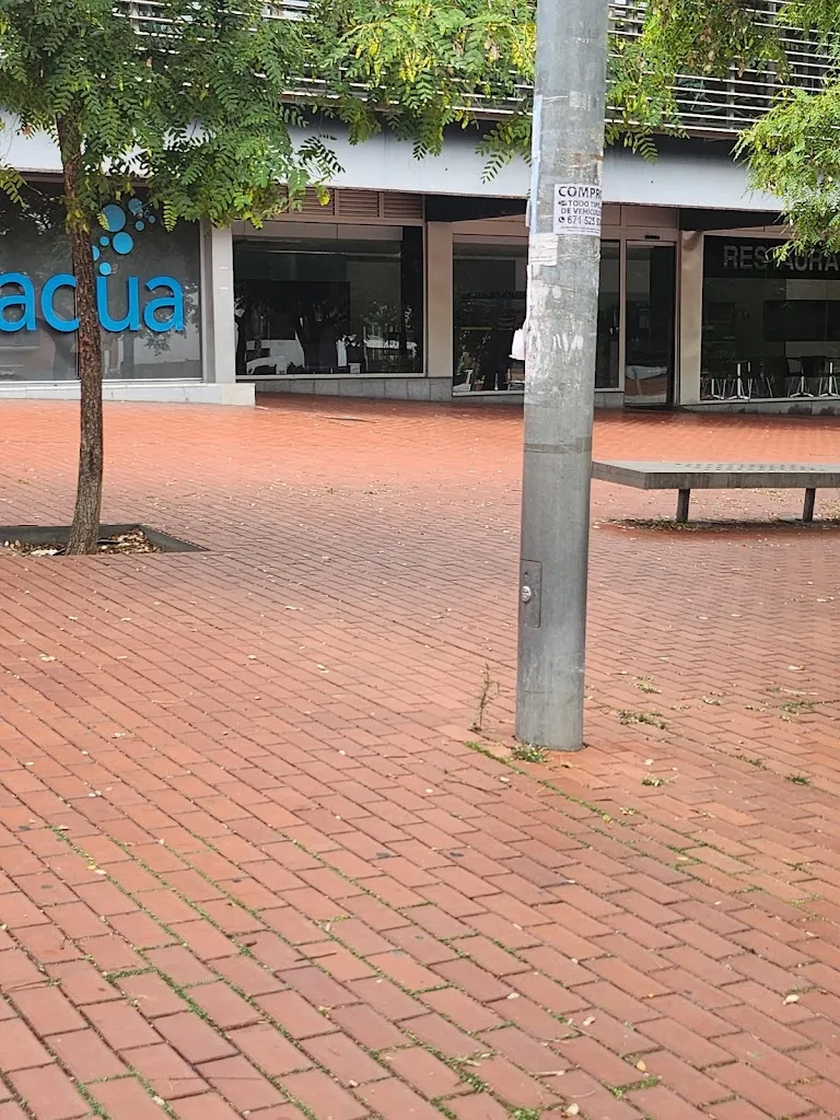 Lila Reyes t._Restaurant Julians Cervelló_Cervelló_review