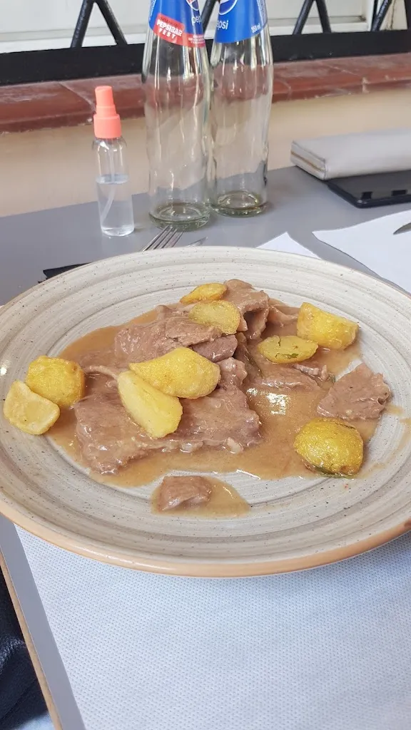 j r_MESON RAMIRO_Cervelló_review