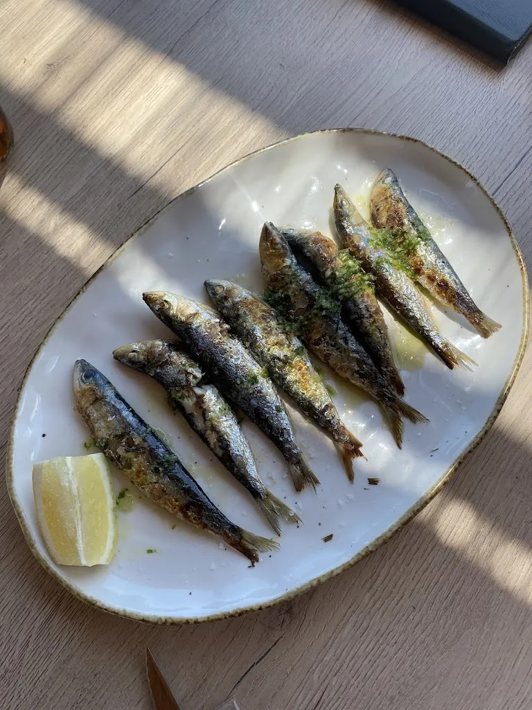 Door Boerstra_La Subhasta de l'Estany_Estany L_recensione