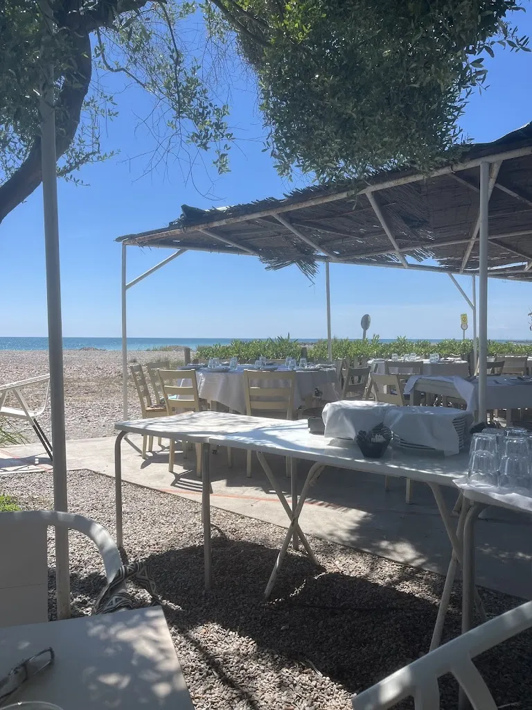 Susan Fraser_Restaurant l'Estany de la Marjal dels Moros Puçol_Estany L_review