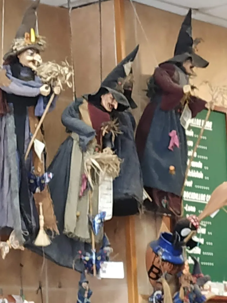 danut ulici_Pla de Fogars_Fogars de la Selva_review