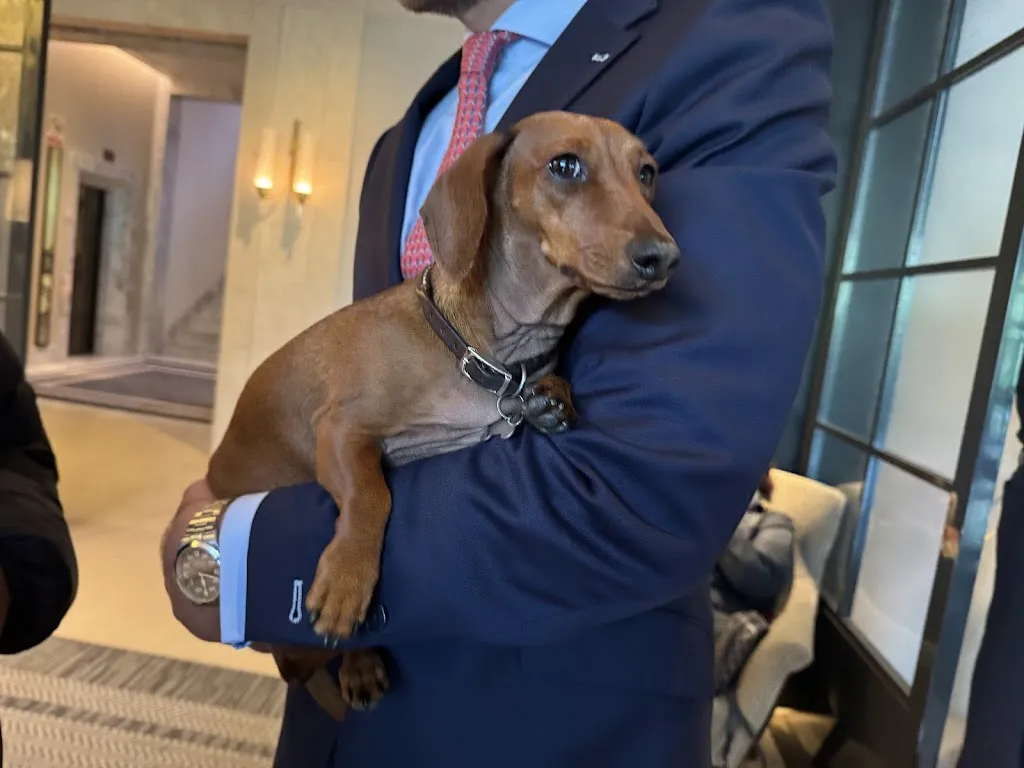 ida cheng_Rosewood Villa Magna_Amés_review